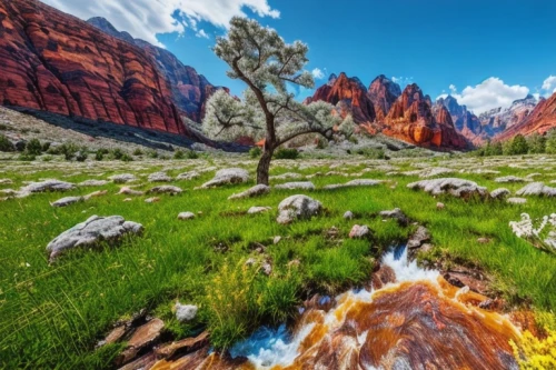 mountain pasture,salt meadow landscape,mountain sheep,wild sheep,mountain meadow,zion national park,meadow landscape,alpine meadow,north american wild sheep,black-brown mountain sheep,nature landscape,mountain spring,alpine pastures,grasslands,mountain meadow hay,mountain landscape,beautiful landscape,natural landscape,mountain cows,mountain tundra