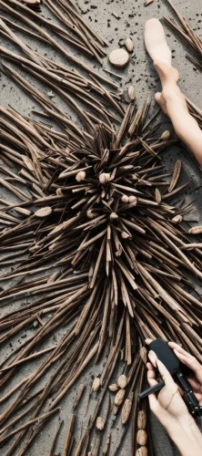 driftwood,wooden pencils,matchsticks,matchstick man,black salsify,clothespins,wood art,matchstick,wooden sticks,kinetic art,the roots of the mangrove trees,tribal arrows,charcoal nest,png sculpture,spines,sand clock,staves,environmental art,wooden rings,wood carving