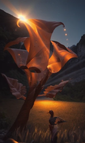 charizard,painted dragon,fire breathing dragon,fire kite,dragon fire,dragon of earth,dragons,fantasy picture,world digital painting,dragon,paraglider sunset,fire dancer,3d fantasy,flying seeds,digital compositing,dragon li,fantasy landscape,forest dragon,fantasy art,cg artwork