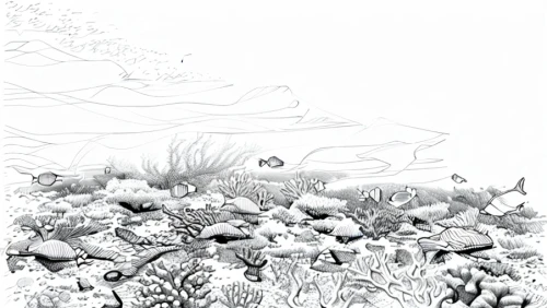 coral reef,stony coral,coral reefs,mono-line line art,mono line art,sea-life,brook landscape,coloring page,fishes,line drawing,underwater landscape,aquatic plants,underwater background,swampy landscape,line-art,marine diversity,coral reef fish,mangroves,long reef,hand-drawn illustration