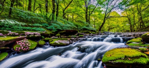aaa,green waterfall,green trees with water,mountain stream,flowing creek,water flowing,mountain spring,flowing water,germany forest,a small waterfall,rushing water,water flow,aa,green forest,running water,cascading,fairytale forest,streams,riparian forest,cascades