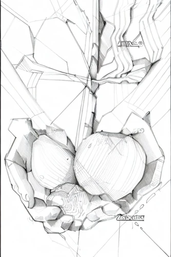 frame drawing,wireframe graphics,line drawing,wireframe,sheet drawing,spheres,mono-line line art,line-art,elephant line art,mono line art,pencil lines,ceiling construction,escher,map outline,game drawing,technical drawing,honeycomb grid,forms,line art birds,spider net