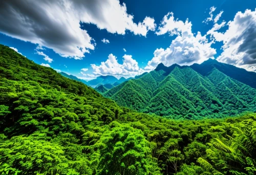 aaa,japanese mountains,mountainous landscape,tropical and subtropical coniferous forests,green landscape,yakushima,patrol,mountain landscape,mount scenery,mountain slope,green forest,mountain scene,the landscape of the mountains,background view nature,kumano kodo,taiwan,aa,landscape background,green wallpaper,japanese alps