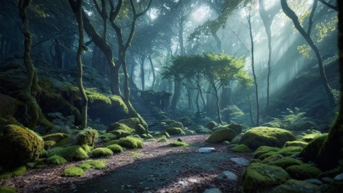 elven forest,forest path,green forest,foggy forest,fairy forest,forest landscape,forest glade,fairytale forest,holy forest,forest floor,aaa,enchanted forest,the forest,germany forest,forest,forest of dreams,the mystical path,forest road,forests,the forests