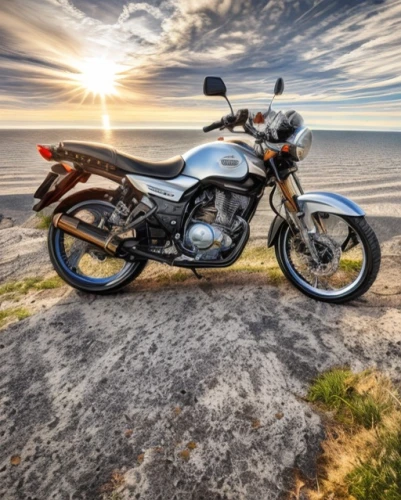 motorcycle tours,bonneville,motorcycling,triumph 1500,r1200,motorcycle tour,mv agusta,triumph,w100,motorcycle accessories,990 adventure r,type w100 8-cyl v 6330 ccm,2600rs,yamaha,triumph 1300,triumph street cup,motorcycle,motorcycles,suzuki x-90,motorbike,Common,Common,Natural,Common,Common,Natural