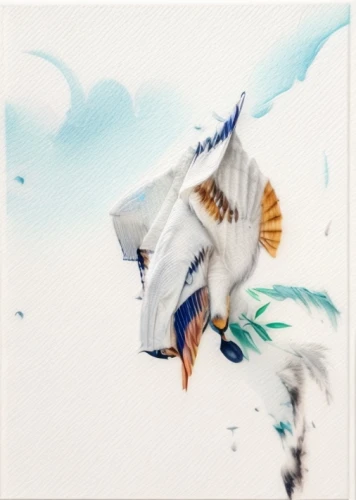 fujian white crane,watercolor bird,bird painting,white eagle,storks,crane bird flying,dalmatian pelican,gryphon,white dove,white bird,cranes,pegasus,bird flying,birds in flight,white storks,flying birds,bird in flight,bird flight,bird illustration,bird in the sky