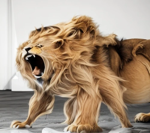 lion - feline,lion,to roar,panthera leo,roar,roaring,lion head,king of the jungle,lion father,skeezy lion,male lion,african lion,forest king lion,two lion,lion white,female lion,liger,little lion,lion number,lions,Product Design,Furniture Design,Modern,Sleek Scandi
