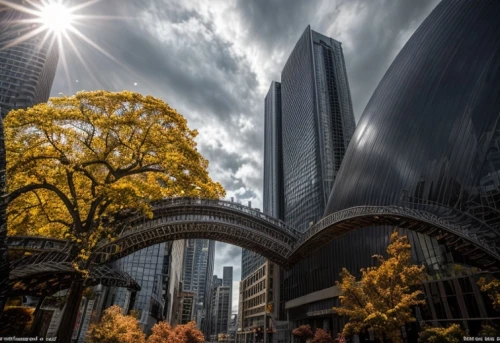 toronto city hall,toronto,chicago,minneapolis,tall buildings,financial district,urban landscape,autumn in the park,city scape,detroit,golden autumn,light of autumn,sky of autumn,the trees in the fall,chicago skyline,skyscrapers,urban towers,fall landscape,cbd,city buildings,Common,Common,Photography