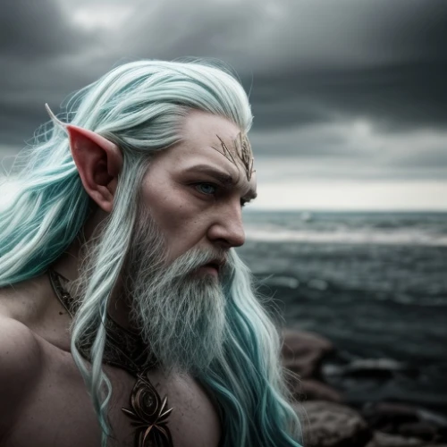 male elf,sea god,poseidon god face,god of the sea,elven,poseidon,lokportrait,merfolk,viking,odin,violet head elf,dark elf,merman,elf,norse,icelanders,vikings,aquaman,dunun,bordafjordur,Common,Common,Natural