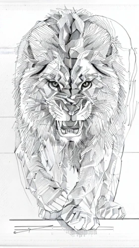 lion white,lion head,lion,stone lion,panthera leo,lion capital,tiger head,line art animal,female lion,lion number,white lion,line art animals,a tiger,male lion,two lion,white tiger,tiger png,forest king lion,animal line art,tiger,Design Sketch,Design Sketch,Hand-drawn Line Art