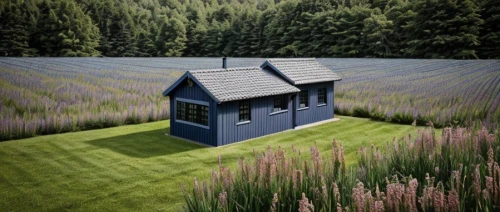 grass roof,inverted cottage,miniature house,garden shed,little house,small house,cube house,suitcase in field,wooden hut,block of grass,pink grass,shed,small cabin,artificial grass,outhouse,turf roof,home landscape,lonely house,house painting,summer house