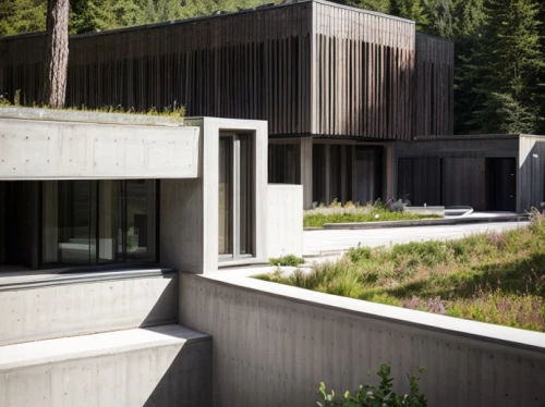 exposed concrete,dunes house,modern house,modern architecture,house in the forest,cubic house,concrete construction,concrete blocks,timber house,concrete slabs,swiss house,residential house,archidaily,reinforced concrete,brutalist architecture,corten steel,concrete,house in mountains,house in the mountains,house hevelius,Architecture,General,Modern,Elemental Architecture