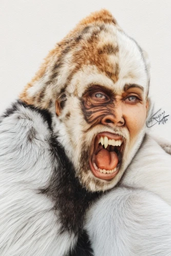 tiger png,white tiger,fur,neanderthal,eskimo,yeti,wolfman,white walker,tamaskan dog,to roar,mammal,ape,snow monkey,maori,roar,mandrill,fur clothing,thundercat,primate,tigerle