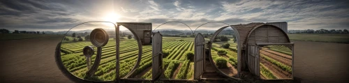 blades of grass,sugarcane,grass blades,forks,fork in the road,virtual landscape,chair in field,golf clubs,sugar cane,old golf clubs,clothes pins,wooden saddle,horseshoes,golf bags,golf landscape,rusty clubs,farm gate,straw carts,grain field panorama,golf putters,Common,Common,Commercial