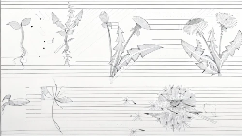 music notations,music notes,musical notes,musical paper,music sheets,sheet of music,botanical line art,bach flowers,frame drawing,vegetable outlines,flower drawing,flower line art,drawing trumpet,music sheet,experimental musical instrument,music keys,art with points,piano keys,leaf drawing,piano notes,Design Sketch,Design Sketch,Fine Line Art