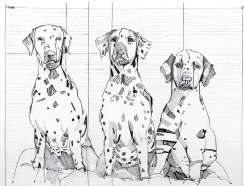 english setter,dog line art,german shorthaired pointer,dog drawing,dalmatian,short haired german shorthaired pointer,dog illustration,bluetick coonhound,three dogs,welsh springer spaniel,english coonhound,treeing walker coonhound,coonhound,clumber spaniel,dogs digital paper,german longhaired pointer,kooikerhondje,german wirehaired pointer,setter,dog digital paper