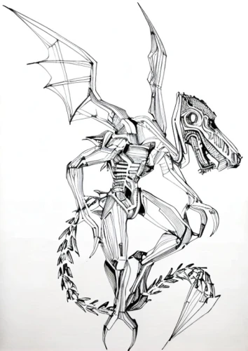 dragon design,fish skeleton,dragon,seat dragon,exoskeleton,cd cover,vanitas,line art animals,hand-drawn illustration,pterodactyl,line art animal,coloring page,dinosaur skeleton,pterodactyls,line-art,skeletal,gryphon,iguana,dragon of earth,reptilia