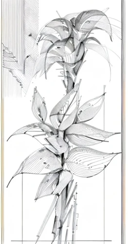 botanical frame,botanical print,frame drawing,ikebana,pencil frame,leaves frame,botanical line art,leaves case,lithograph,leaf drawing,frame flora,herbarium,botanical square frame,botanical,illustration of the flowers,flower illustration,floral and bird frame,strelitzia,hymenocallis,oil-related plant