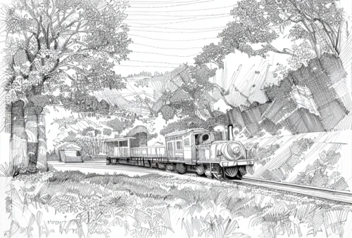 goods train,trains,narrow gauge,train route,train,narrow-gauge railway,railway,rack railway,long-distance train,narrow gauge railway,queensland rail,railroad,the selketal railway,through-freight train,rail road,passenger train,railroads,locomotive,mono-line line art,electric train