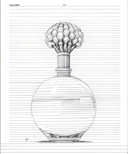 perfume bottle,laboratory flask,decanter,erlenmeyer flask,vase,perfume bottle silhouette,cover,perfume bottles,botanical line art,bulb,halogen bulb,book cover,magazine - publication,bottle surface,parfum,glass vase,incandescent light bulb,flower vase,carafe,fragrance teapot