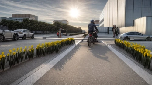 mercedes-benz museum,bicycle lane,bicycle path,hafencity,the boulevard arjaan,streetluge,obike munich,bike path,autostadt wolfsburg,paved square,kamppi,urban design,flower wall en,zagreb auto show 2018,glass facade,highline,auto show zagreb 2018,moveable bridge,pedestrian zone,bike land,Common,Common,Photography