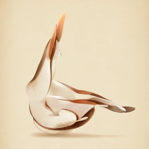 an ornamental bird,bird illustration,trumpet of the swan,dove of peace,ornamental duck,pelican,crane-like bird,swan,ornamental bird,peace dove,constellation swan,white pelican,silver seagull,royal tern,white swan,swan feather,bird drawing,northern gannet,the head of the swan,tern,Game&Anime,Doodle,Children's Illustrations