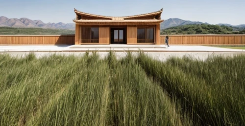 chinese architecture,grass roof,bamboo curtain,straw hut,corten steel,asian architecture,timber house,feng shui golf course,dunes house,junshan yinzhen,bamboo frame,straw roofing,sweet grass plant,straw bale,eco hotel,reed grass,wooden house,sweet grass,roof landscape,ornamental grass,Architecture,General,Masterpiece,Vernacular Modernism