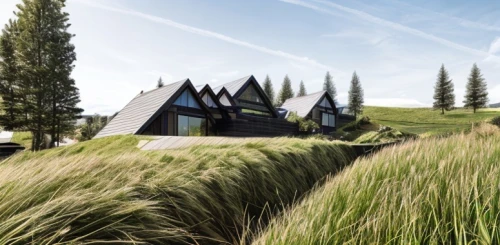 cube stilt houses,grass roof,eco hotel,dunes house,cubic house,icelandic houses,meadow fescue,cube house,timber house,eco-construction,floating huts,inverted cottage,straw hut,wheat germ grass,turf roof,dune grass,long grass,house in mountains,modern house,quail grass,Architecture,General,Modern,Geometric Harmony