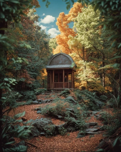 house in the forest,forest chapel,summer house,small cabin,summer cottage,gazebo,log cabin,wooden hut,cottage,bungalow,the cabin in the mountains,autumn forest,autumn camper,garden shed,forest landscape,cabin,home landscape,wood doghouse,autumn idyll,golden pavilion,Common,Common,Film