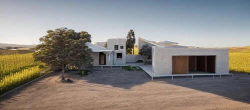 dunes house,cubic house,modern house,cube stilt houses,cube house,modern architecture,eco-construction,3d rendering,roof landscape,grass roof,render,residential house,stellenbosch,build by mirza golam pir,archidaily,timber house,frame house,house shape,folding roof,danish house