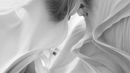 antelope canyon,white silk,crumpled,the angel with the veronica veil,entwined,white horses,white heron,crumpled paper,white figures,shifting dunes,unfolding,white horse,angel trumpets,swirling,colourless,angel wings,body scape,crevasse,petals of perfection,brushstroke