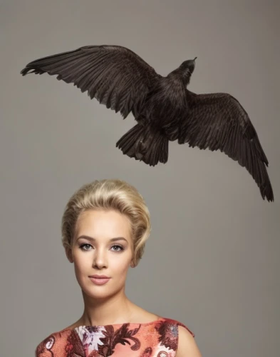 black macaws sari,swifts,winged,crows bird,bird bird-of-prey,bird of prey,wallis day,falconer,crow queen,african grey,black angel,ornithology,corvidae,birds of prey,mina bird,bird wings,raven sculpture,raven bird,dove of peace,falconry