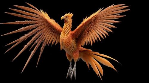 crane-like bird,phoenix rooster,crane bird flying,bird png,platycercus,platycercus elegans,calyptorhynchus banksii,red bird,feathers bird,an ornamental bird,bird flying,bird in flight,asian bird,firebird,beautiful bird,platycercus eximius,gallus,golden pheasant,baleurica regulorum,phoenix