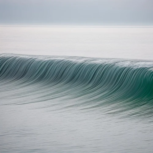 wave pattern,japanese waves,shorebreak,big wave,waves circles,water waves,bow wave,ocean waves,wave,wave motion,braking waves,big waves,rogue wave,pipeline,waves,japanese wave,barrels,wave wood,churning,tsunami