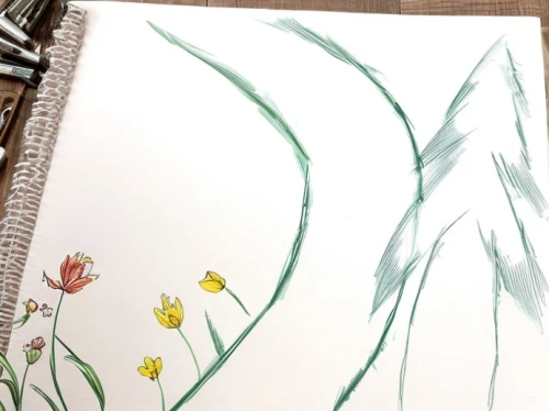 flower painting,watercolor floral background,watercolor cactus,watercolor background,watercolor flower,foliage coloring,avalanche lily,flower drawing,watercolor flowers,botanical line art,daffodils,watercolor paper,watercolour flowers,watercolour flower,jonquils,colored pencil background,floral border paper,yellow avalanche lily,yellow daffodils,easter lilies