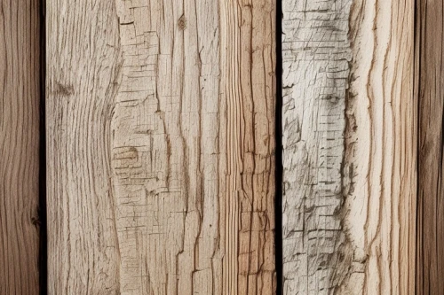 wood texture,wood background,wooden background,natural wood,wood,wooden planks,laminated wood,wooden wall,wood fence,in wood,ornamental wood,slice of wood,pallet pulpwood,wooden,californian white oak,western yellow pine,wooden boards,knotty pine,wood wool,on wood