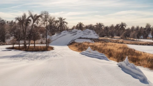 nordic skiing,cross-country skiing,winter landscape,braided river,finnish lapland,the amur adonis,slowinski national park,snow trail,cross country skiing,ski touring,yellowknife,tanana river,snow landscape,snow fields,ice landscape,horsheshoe bend,dune ridge,shifting dune,altyn-emel national park,lion river