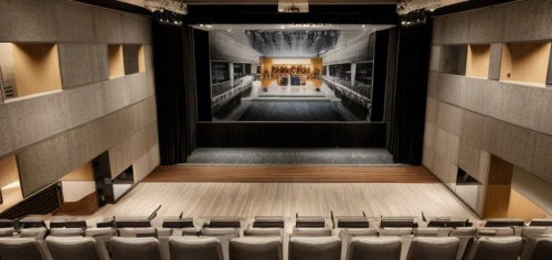 theater stage,theater curtains,theater curtain,movie theater,theatre stage,theatre curtains,theatre,performance hall,lecture hall,theater,auditorium,empty theater,cinema seat,movie theatre,digital cinema,cinema,concert hall,smoot theatre,theatrical scenery,lecture room,Commercial Space,Shopping Mall,Transitional