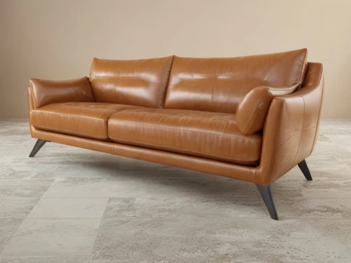 chaise longue,leather texture,mid century sofa,loveseat,chaise lounge,seating furniture,corten steel,danish furniture,soft furniture,chaise,settee,armchair,sofa,antler velvet,recliner,mid century modern,upholstery,sofa set,embossed rosewood,wing chair,Common,Common,Cartoon