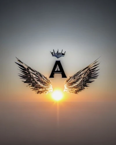 angelology,ark,ascension,araucana,arc,angel wing,arrow logo,alpha era,ac,archangel,aporia,above,angels,airship,a8,alaunt,a6,alba,a4,air,Common,Common,Natural
