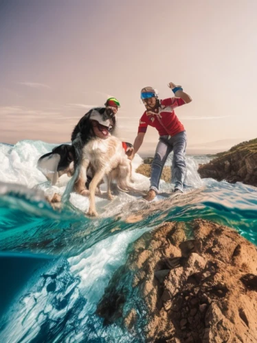 dolphin rider,man and horses,santa claus at beach,horseback,horse running,dog photography,flying dogs,travel insurance,horseback riding,surfers,white horses,santa claus with reindeer,horse riding,horse riders,animals hunting,photomanipulation,chilean rodeo,digital compositing,photo manipulation,rock rocking horse