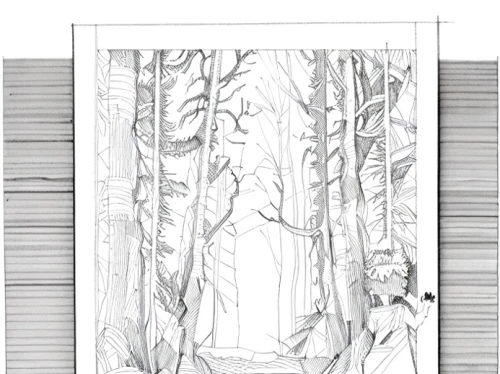 frame border drawing,birch tree illustration,frame drawing,frame border illustration,pencil frame,frame illustration,frame mockup,forest background,sheet drawing,bamboo frame,hand-drawn illustration,wood frame,paper frame,stage curtain,girl with tree,bamboo curtain,forest chapel,botanical frame,coloring page,wooden frame,Design Sketch,Design Sketch,Hand-drawn Line Art