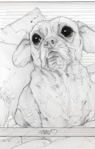dog drawing,dog illustration,dog line art,line art animal,puggle,dog frame,peanut bulldog,pet portrait,line art animals,pug,sheet drawing,ball point,bulldog,the french bulldog,wicket,wrinkle,shih tzu,dwarf bulldog,french bulldog,yorkie