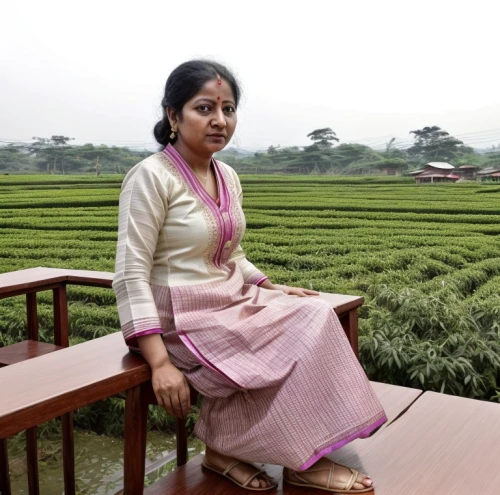 tea plantation,tea plantations,heart tea plantation,bangladeshi taka,tea field,tea garden,bangladesh,nepali npr,amitava saha,tea plant,rice cultivation,assam tea,chitwan,bengal,indian jasmine,tulsi,tona organic farm,kamini kusum,bangladesh bdt,chetna sabharwal