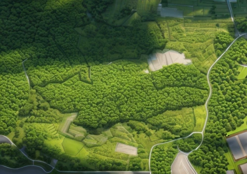 aerial landscape,green forest,green valley,aaa,landscape plan,intensely green hornbeam wallpaper,cartoon forest,green landscape,natural reserve,forests,earthworks,wine-growing area,dji agriculture,greenforest,building valley,germany forest,srtm,forest ground,hedge,panoramical,Architecture,Villa Residence,Modern,Mid-Century Modern