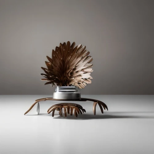 ikebana,incense with stand,edged hunting spider,dish brush,horsehair crab,trivet,still life photography,tableware,serveware,sisal,tabletop photography,dining table,new world porcupine,decorative fan,plate shelf,porcupine,tarantula,seed-head,table and chair,sea-urchin,Product Design,Furniture Design,Modern,Dutch Modern Utility
