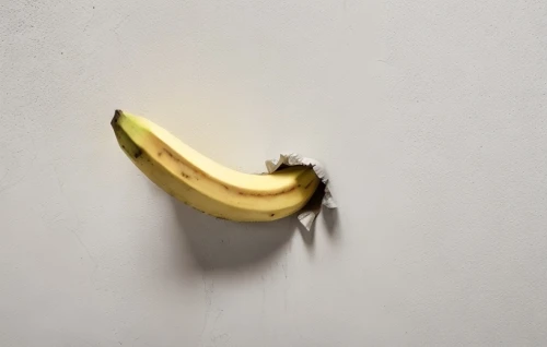 banana peel,wall lamp,banana,wall light,monkey banana,bananas,light switch,banana cue,modern art,wall safe,banana apple,hole in the wall,wall,hanging bulb,fridge lock,apple logo,wall art,saba banana,art,wall breaker,Common,Common,Natural