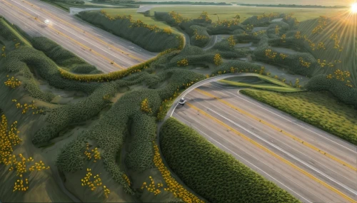 autobahn,plant tunnel,highway roundabout,hedge,illinois,roads,rolling hills,nebraska,highway,rural,tunnel of plants,sunflower field,canola,green valley,farmlands,fork road,winding roads,farms,forest road,alligator alley
