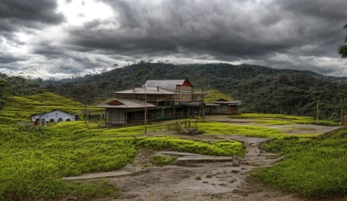 rice terraces,rice terrace,the rice field,ubud,rice fields,ricefield,rice field,philippines scenery,indonesia,rice paddies,ha giang,landscape photography,paddy field,philippines,karst landscape,vietnam,southeast asia,sapa,rural landscape,home landscape