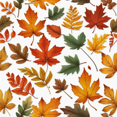 leaf background,autumn pattern,autumn leaf paper,autumn plaid pattern,autumn background,maple foliage,colored leaves,autumnal leaves,maple leaves,maple leave,fall leaf border,colorful leaves,spring leaf background,beech leaves,autumn leaves,autumn foliage,leaves in the autumn,leaf pattern,fallen leaves,autumn colouring,Illustration,Realistic Fantasy,Realistic Fantasy 12